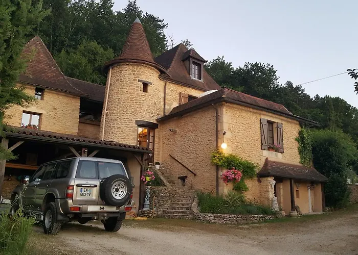 Stargazer * Saint-Chamassy