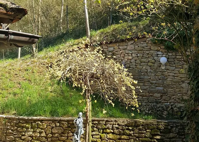 Stargazer * Saint-Chamassy